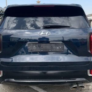 HYUNDAI PALISADE 2022 USA